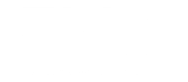 Evo Concierge Physical Therapy